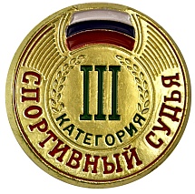 Купить Значок ZS